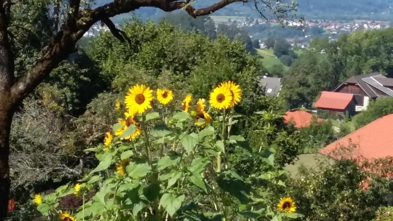 Muellnerhaus Apartment Millstatt Bagian luar foto